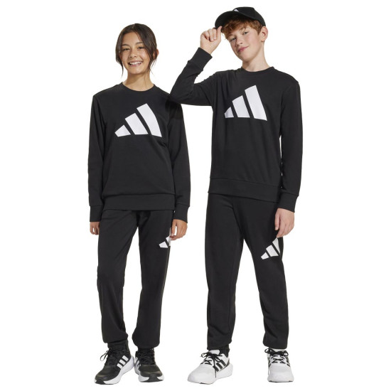 Adidas Παιδικές φόρμες σετ Essentials Big Logo French Terry Joggers Set